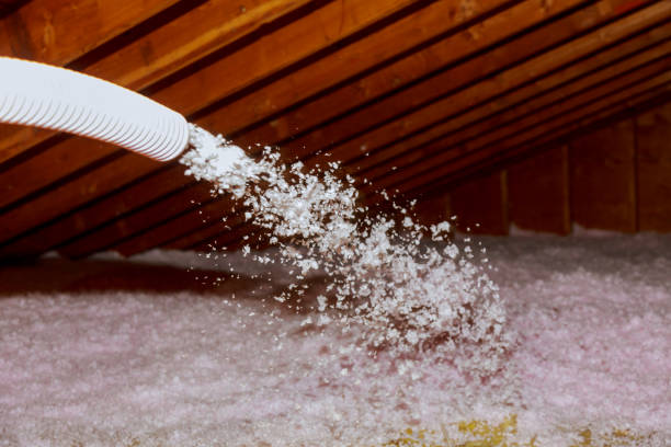Best Commercial Insulation in Thornton, IL